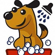 Tas Dog Salon